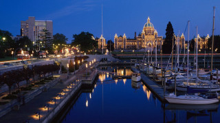 Harbor boats night city tall - a harbor free wallpaper