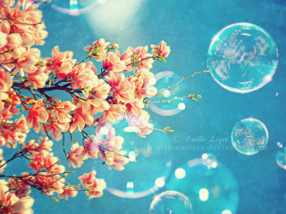 Bubbles tree branch flowers blue - the air next free wallpaper for desktop