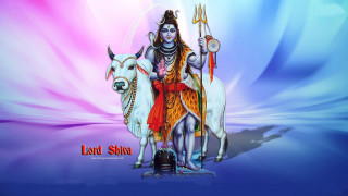 Lord shivgurt bull goat blue - bholekar srihari free wallpaper