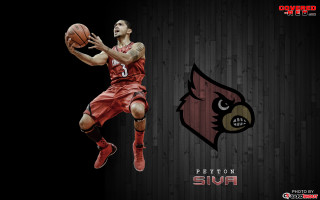 Basketball player cardinal logo wall - eric peterson free wallpaper