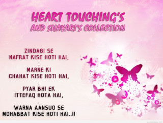 Pink background butterflies words pink - emotional free wallpaper