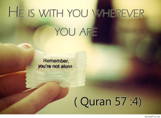 Hand holding paper bible verse - a bible verse free wallpaper