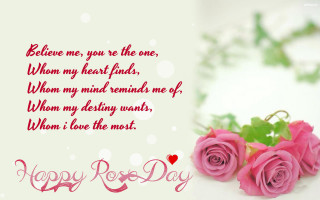 Pink roses table message written - a couple free wallpaper