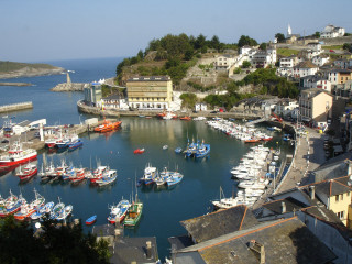 Harbor boats hillside trees buildings - tree and buildings free wallpaper