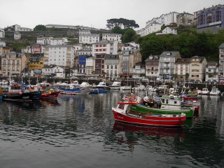 Boats lake city buildings trees - building and trees free wallpaper for desktop