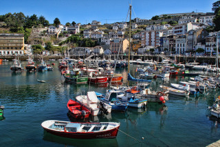 Harbor boats hillside buildings trees 2 - a hillside free wallpaper