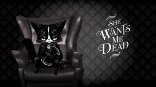 Black white cat sitting argyle - cat free wallpaper for desktop