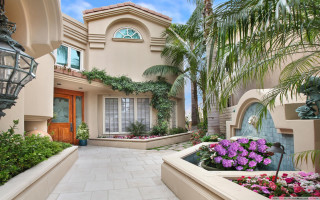 House plants flowers yard light - plant free wallpaper