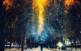 Snowy night park path lamppost - dirk crabeth free wallpaper