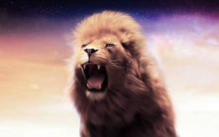 Lion open mouth carlos catasse - mouth wide open free wallpaper