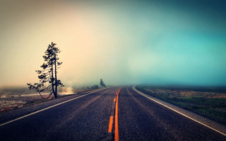 Long road lone tree foggy - a long road free wallpaper