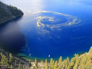 Lake forest spiral water surrounded - a spiral free wallpaper