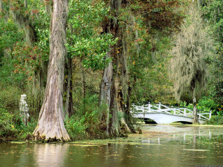 Bridge river trees bench water - charles ragland bunnell free wallpaper