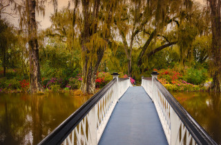 Bridge water trees flowers background - impressionism free wallpaper