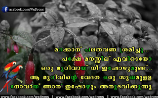 Colorful bird branch tree quote - a quote in the middle of free wallpaper