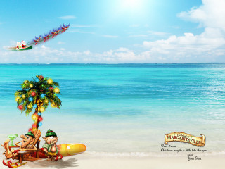 Man beach palm makabati magic - a beach next free wallpaper