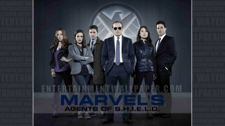 Group people marvel agents of - a logo free wallpaper