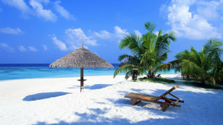 Beach palm umbrella sand sky - beach free wallpaper