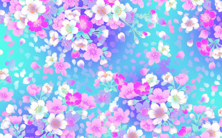 Blue background pink white flowers 2 - color scheme free wallpaper