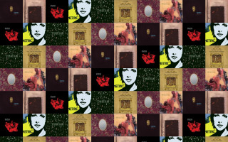 Woman red flower mirror collage - a red flower free wallpaper