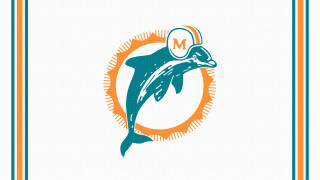 Dolphin jumping magnifying glass water - magnifying free wallpaper