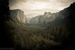 Valley mountains trees foreground scenery 2 - the background and trees free wallpaper