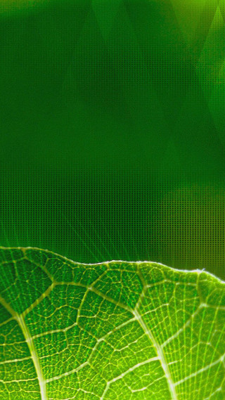 Green leaf microscopic 4k tennis - a close up free wallpaper for mobile
