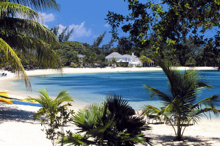 Beach blue lagoon palm trees - the shore of the beach free wallpaper
