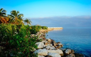 Rocky shore palm trees hut - a rocky shoreline free wallpaper