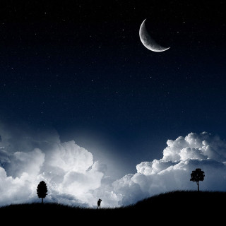 Trees grass moon clouds sky - under free wallpaper for tablet