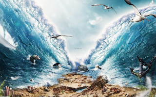 Birds flying water wave crashing - a painting of birds free wallpaper