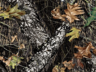 Tree leaves camouflage background white 2 - a camouflage background free wallpaper