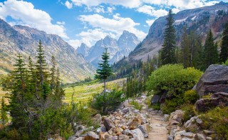 Rocky trail mountain trees grassy - a mountain in the background and trees free wallpaper