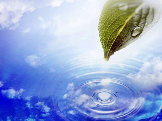 Leaf floating water sky clouds 2 - a drop of water free wallpaper