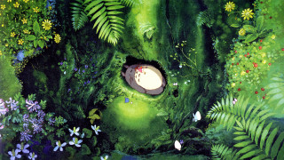 Forest hole flowers plants bird - ghibli free wallpaper
