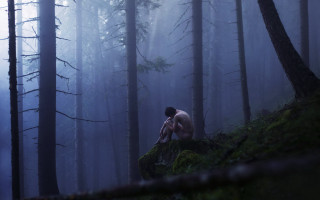 Man sitting mossy rock forest - mossy free wallpaper for desktop