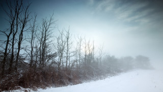 Snowy landscape trees road sun - the cloud free wallpaper for desktop