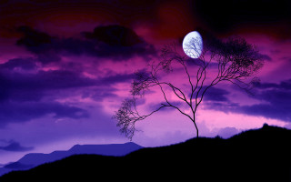 Tree moon purple sky clouds - cloud behind free wallpaper