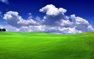 Green field clouds lone tree - the far side free wallpaper