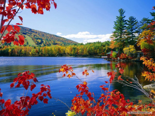 Lake fall colors trees mountain - fall free wallpaper