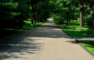 Street stop sign trees lining - a stop sign free wallpaper