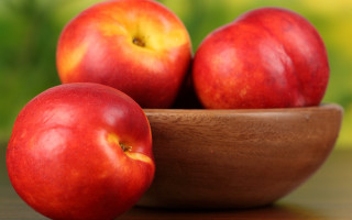 Bowl of apples table green - a green background and a blurry background behind free wallpaper