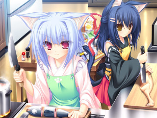 Anime girls cooking kitchen cat - anime free wallpaper