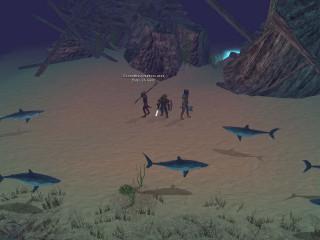 Beach people sharks ocean night - sandy free wallpaper
