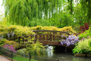 Bridge pond trees flowers park - kinkade free wallpaper