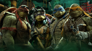 Teenage mutant turtles green room - teenage free wallpaper