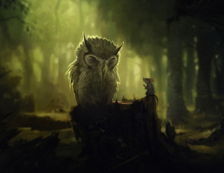 Owl mouse forest trees grass - a green light free wallpaper