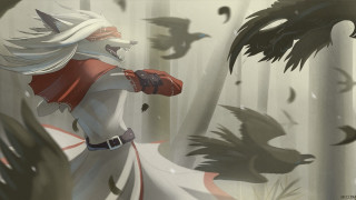 Woman white dress red cape - overhead free wallpaper