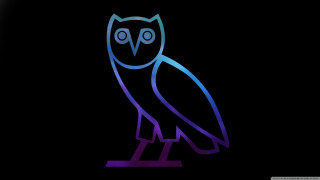 Colorful owl hologram synthwave blue - the right side of the image free wallpaper