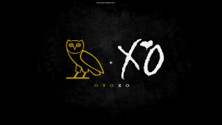 Black background owl ox yellow - album cover free wallpaper